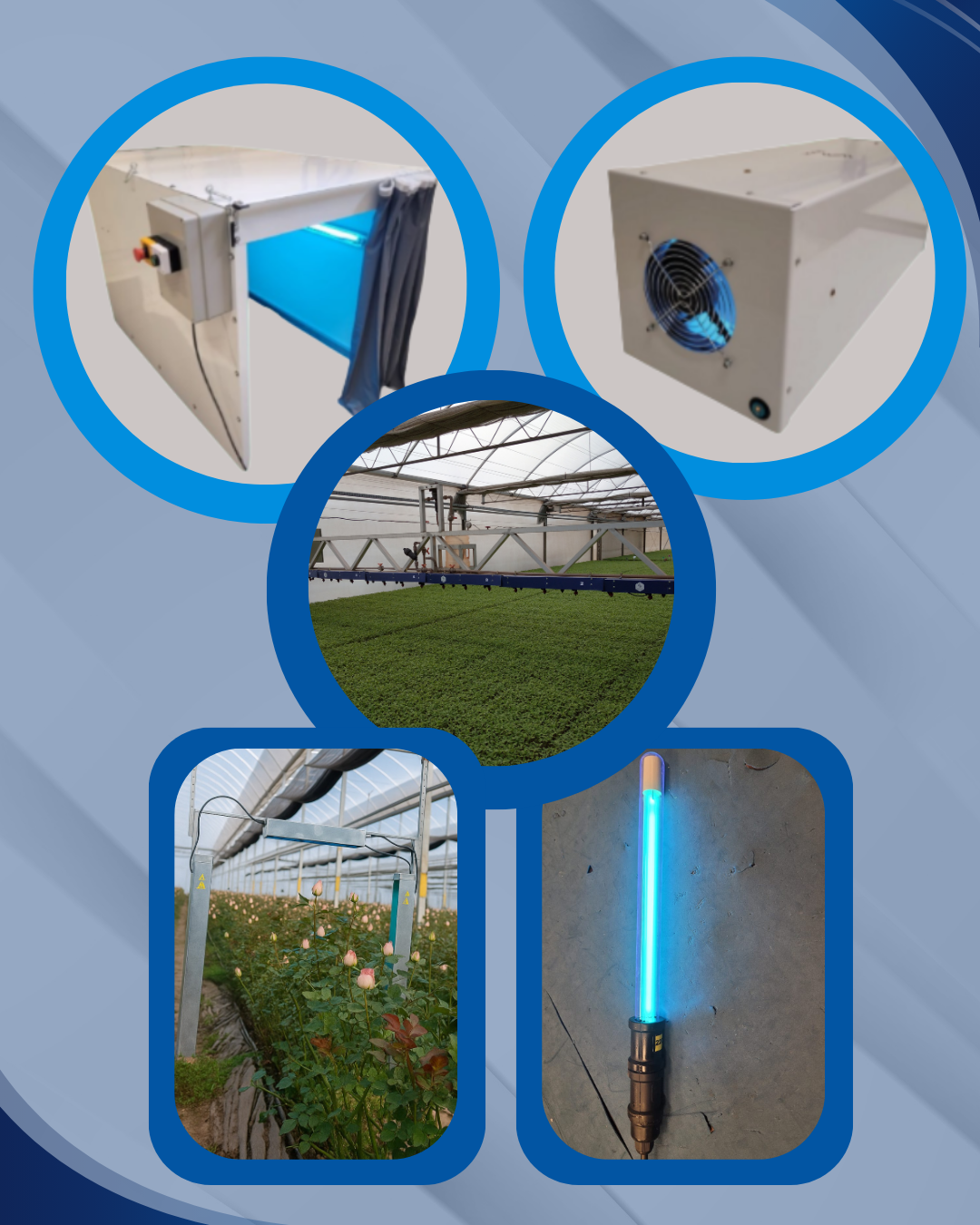 Projetos Customizados