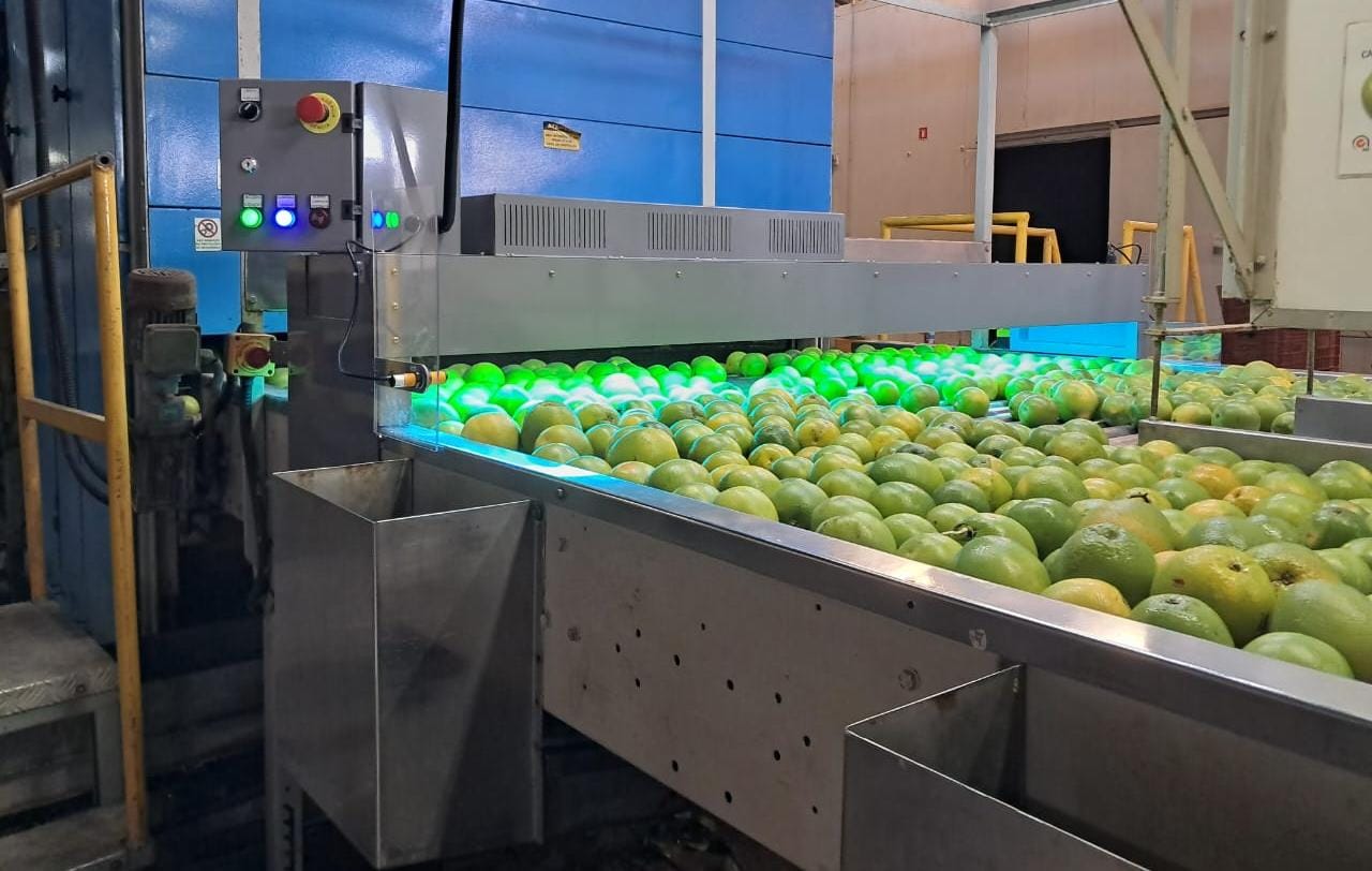 Beneficiamento pós-colheita