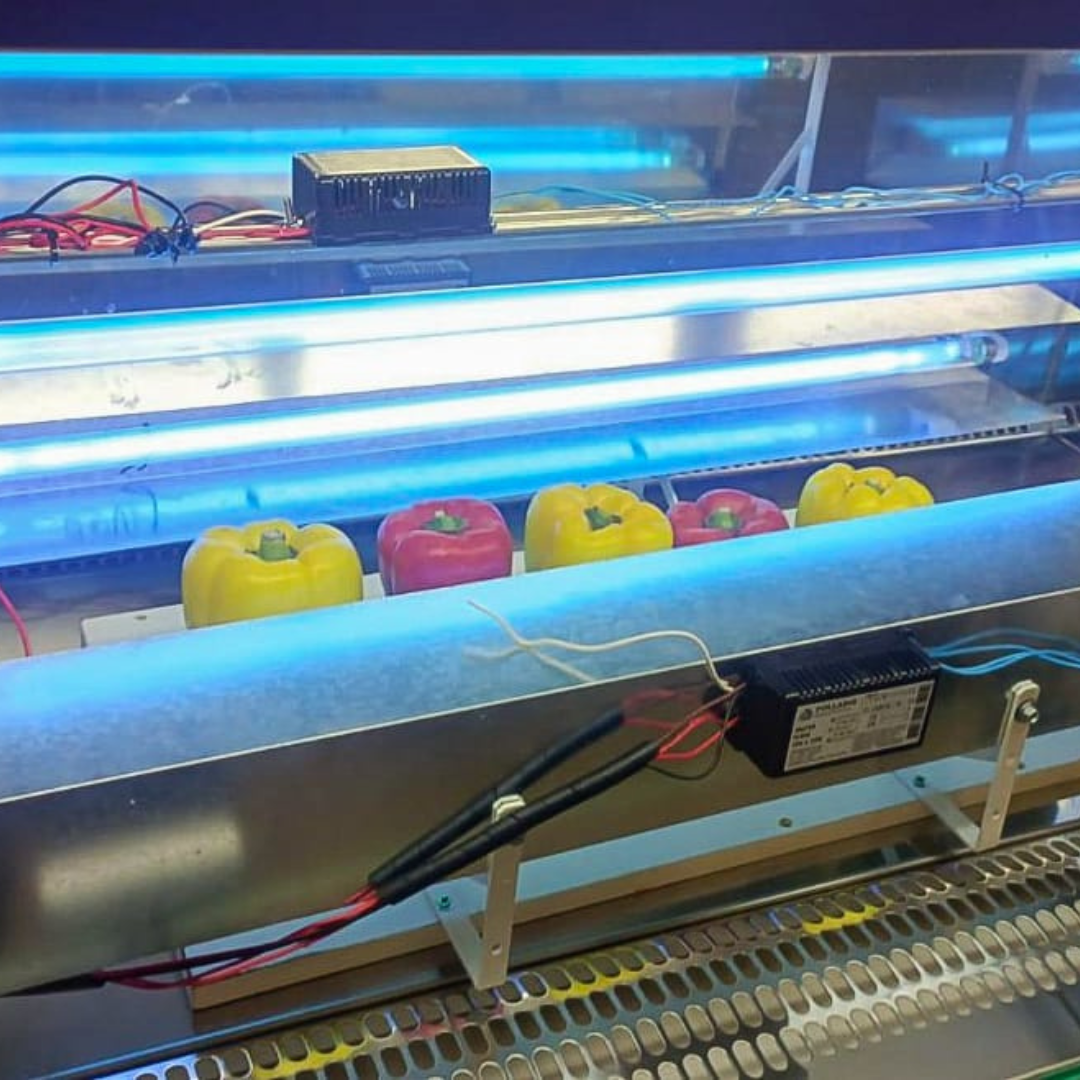 Efeitos da UV-C em Pimentões